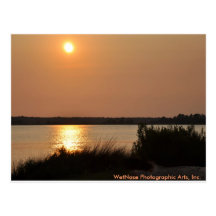 Cape Fear River Postcard