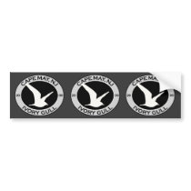 Cape May Ivory Gull Bumper Stickers
