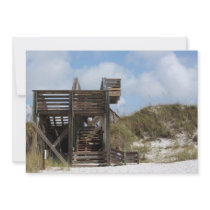 Cape San Blas Florida Dunewalk from beach side