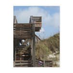 Cape San Blas Florida Dunewalk from beach side postcards