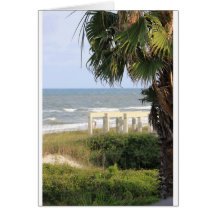 Cape San Blas Ocean Sea Mermaid Salt   Cards