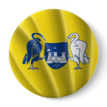 CAPITAL TERRITORY PINBACK BUTTONS