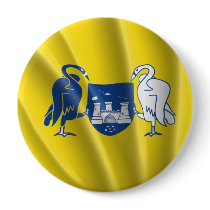 CAPITAL TERRITORY PINBACK BUTTONS