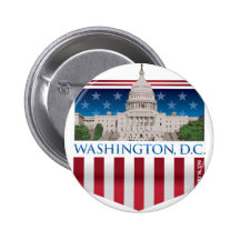 Capitol Building - Washington DC Pin
