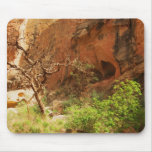 Capitol Reef National Park mousepads