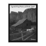 Capitol Reef National Park postcards