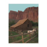 Capitol Reef National Park, Utah Post Cards