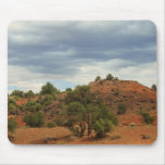 Capitol Reef Nat'l Park mousepads