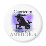 Capricorn About You Fridge Magnets