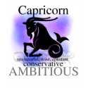 Capricorn About You Tshirt
