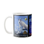 Capricorn Aquarius cusp mug