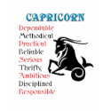 Capricorn Horoscope Zodiac Sign t-shirts