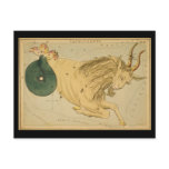 Capricornus (Capricorn) postcards