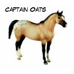 Captain Oats t-shirts