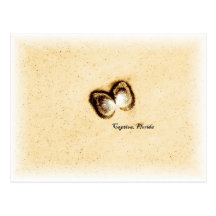 Captiva shells Post Card