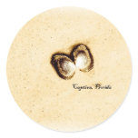 Captiva Shells Stickers