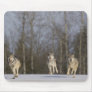 Captive, Duluth, Minnesota, USA 2 Mouse Pad