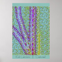 Captured Print