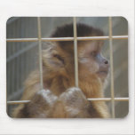 Capuchin Monkey Mousepad