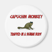 Capuchin Monkey trapped in a human body Magnet