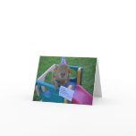 Capy Birthday From Caplin Rous cards