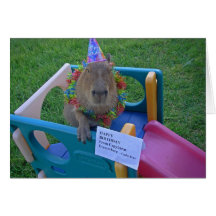 Capy Birthday From Caplin Rous Greeting Card