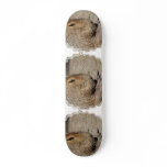 Capybara Skateboard