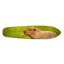 Capybara Skateboard Decks