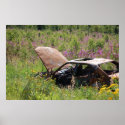 Car out in the field Poster posters