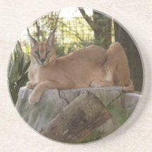Caracal Lynx Coaster