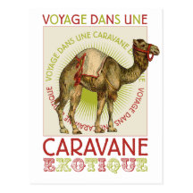 Caravan Camel Postcards