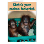 Carbon Footprint Advice cards