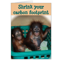 Carbon Footprint Advice Cards