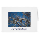 Card / An Eagle Christmas
