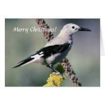 Card /  Clark's Nutcracker / Christmas