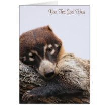Card: Coatimundi #4 (Portrait)