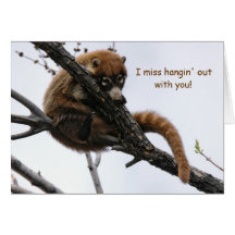 Card: Coatimundi #5