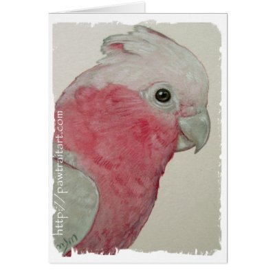 Card - Cockatoo