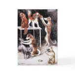 Card: Dogs Grooming Dogs