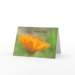Card - greeting - Orange Calendula