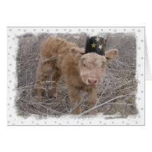Card - Happy Moo Year!