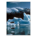 Card / Ice Berg