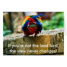 Card, If you're not the lead bird