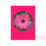 Card, "Pink Gerber Daisy in a Circle" B-1