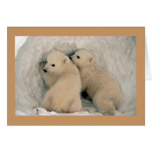 Card / Polar Bear Cubs