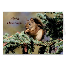 Card /  Red Squirrel / Christmas
