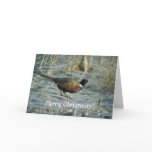 Card / Ring-necked Pheasant / Merry Christmas!