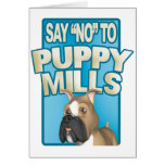 Card: Say No to Puppy Mills