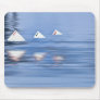 Card Sharks Mouse Pads