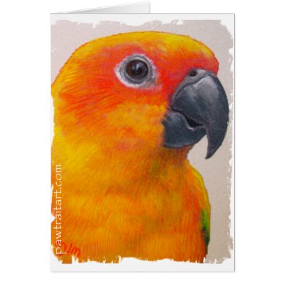 Card - Sun Conure by pawtraitart